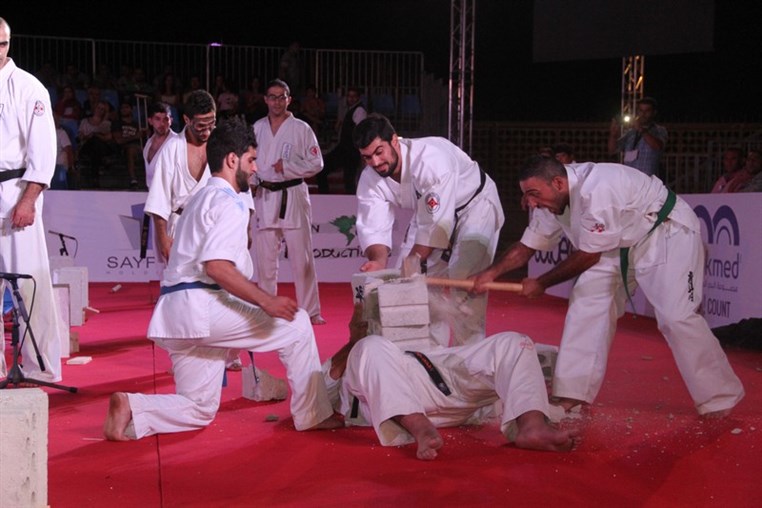 Martial Arts Festival